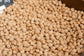 Garbanzo Castellano