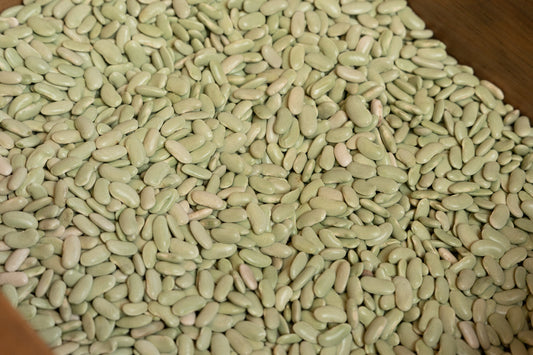 Alubia Verdina Astur