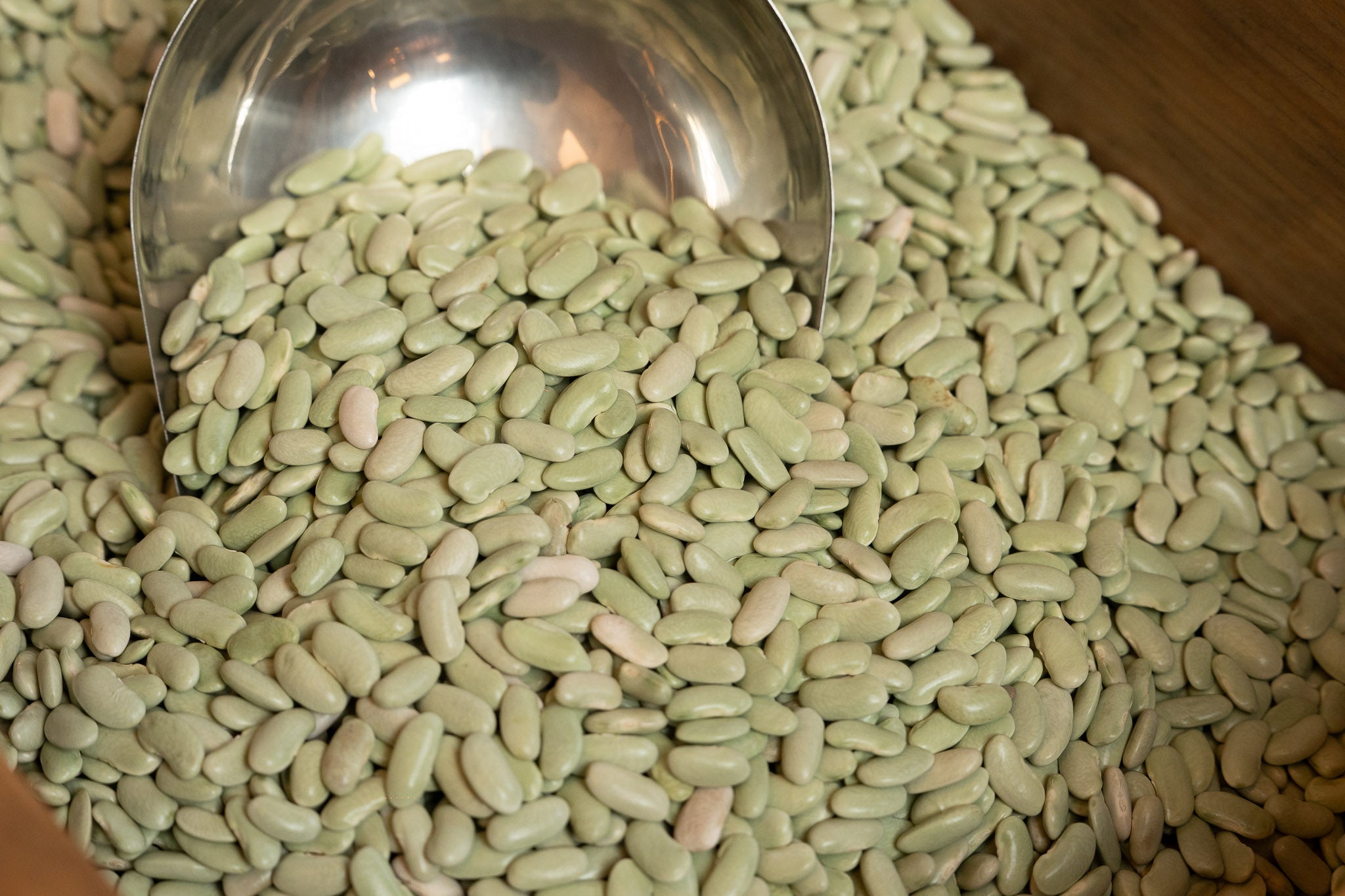 Alubia Verdina Astur